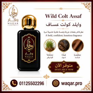 Wild Colt Assaf